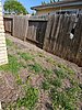20240522_170256_resized_1.jpg
