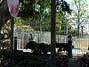 20180412_114359_resized.jpg
