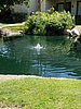 20180412_114623_resized.jpg
