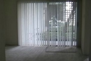 Apt 115 Front Patio View from Living room .jpg