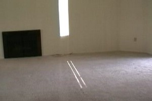 Apt 116 FirePlace_Living Room.jpg