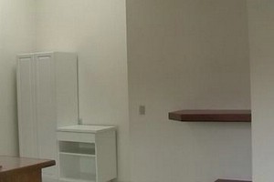 Apt 217 Kitchen_Living Room.jpg
