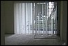 Apt 115 Front Patio View from Living room .jpg