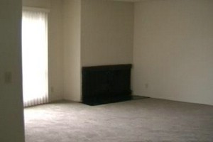 Apt A Fireplace and living room.jpg
