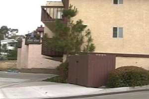 Apt A Outside Driveway to Carport and Trash.jpg