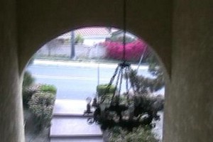 Looking down to front path.jpg