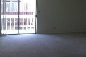 Apt 4 Living Rm .jpg