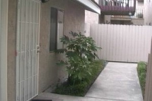 Apt 6.jpg