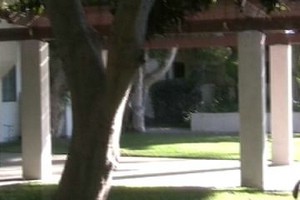 Court Yard.jpg