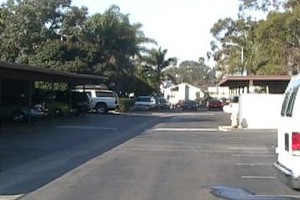 Parking lot.jpg