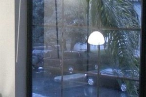 View From Kitchen.jpg