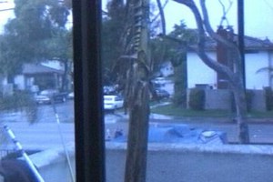 View from Master Bedroom.jpg