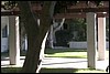 Court Yard.jpg