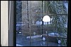 View From Kitchen.jpg