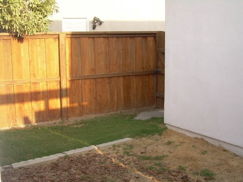 Side yard.JPG