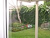 Back yard.JPG