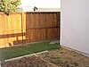 Side yard.JPG